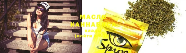 mix Богородицк