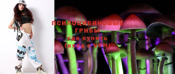 стафф Богданович