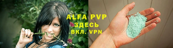 стафф Богданович