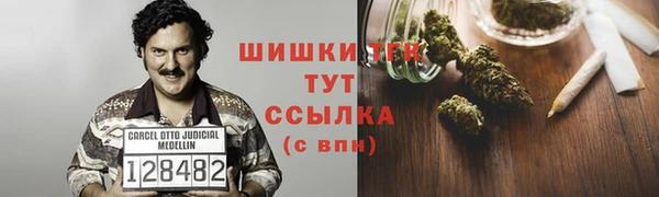 стафф Богданович