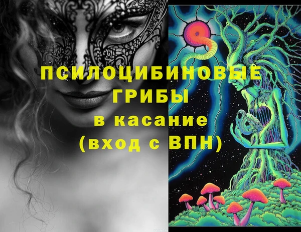 mix Богородицк
