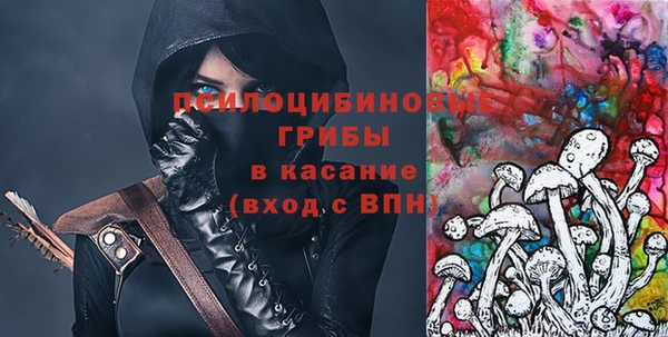 стафф Богданович