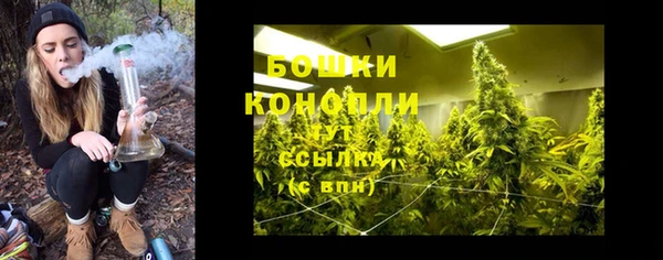стафф Богданович