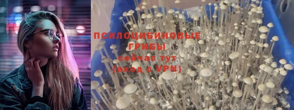 МДМА Богородск
