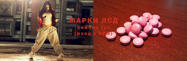 стафф Богданович