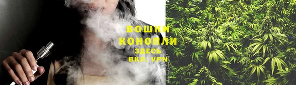 mix Богородицк
